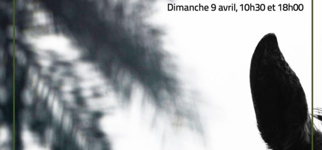 Horaires de la Semaine Sainte Horaires de la Semaine Sainte